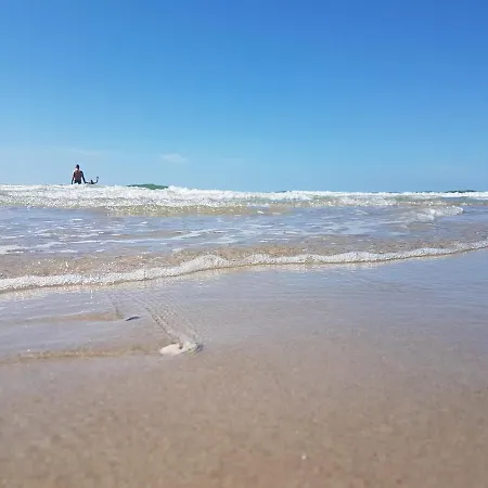 A Hidden Gem In The Woods *