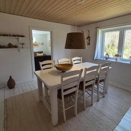 A Hidden Gem In The Woods טים