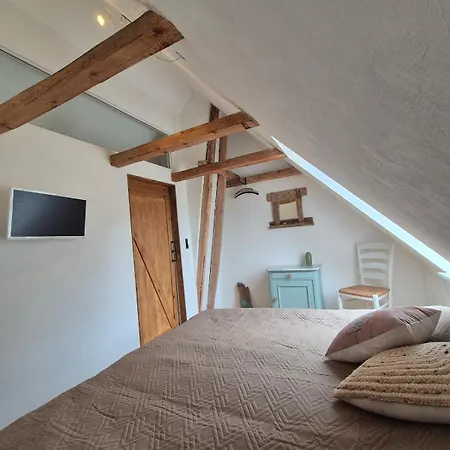 A Hidden Gem In The Woods * טים