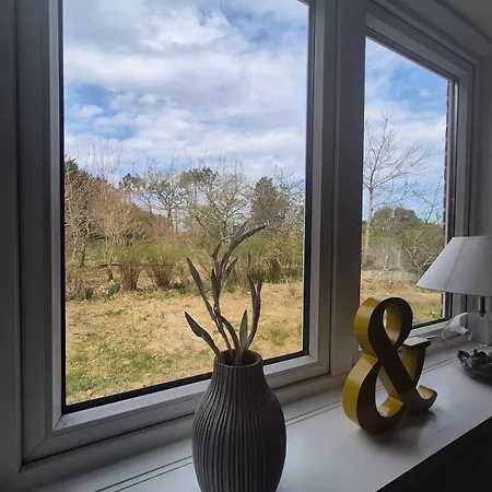 A Hidden Gem In The Woods