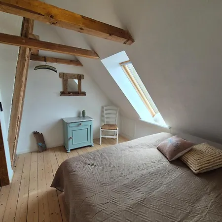 A Hidden Gem In The Woods *